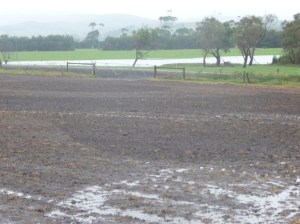 The house paddock on April 13