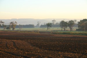 The House paddock, April 2001