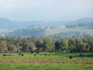 View across the Albert River valley
