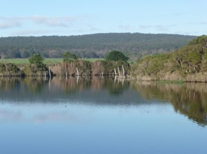 Land for Wildlife dam