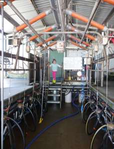 Inside the dairy