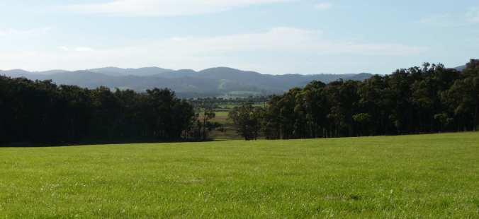 Paddock flanked by forest