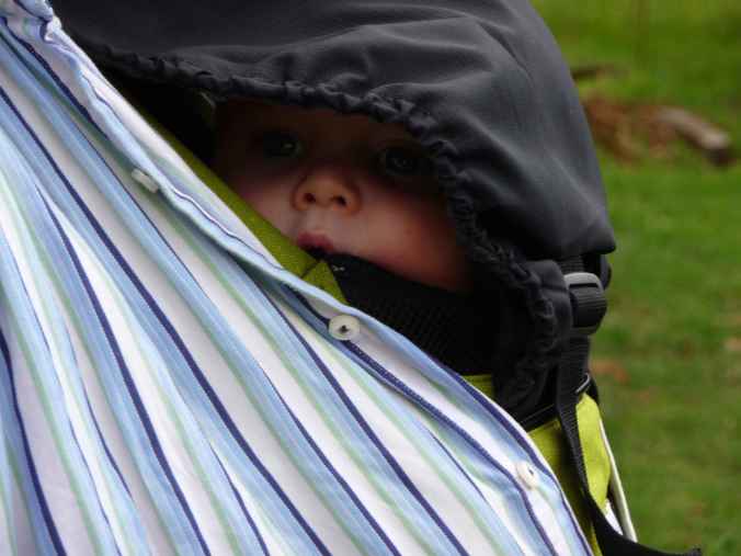 Peeping out of a baby carrier
