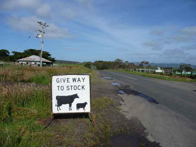 Give Way to Stock
