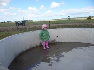 Water trough