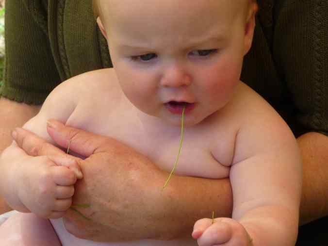 Farm planning meeting