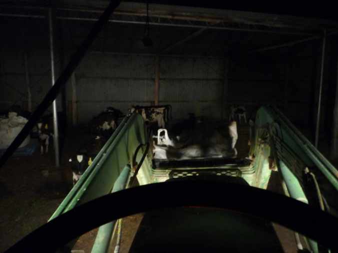 NightFeedDelivery Night-time feed delivery