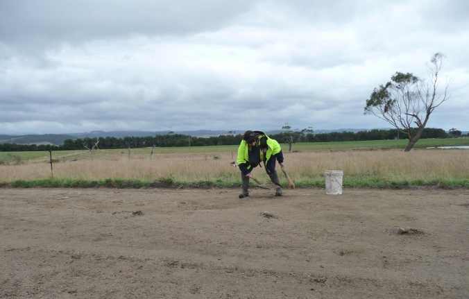 Sweeping the cow track