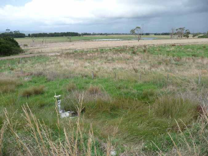 SneakyStormA It had snuck up on me