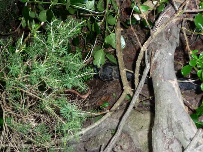 EndCap Not a moment too soon