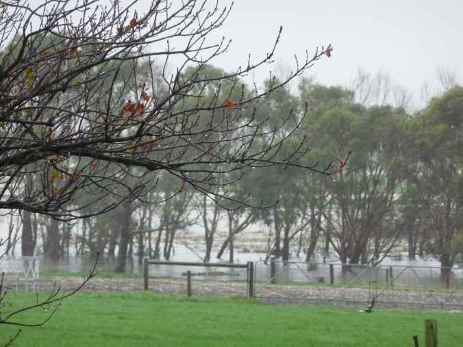 FloodJuneLoRes The second flood