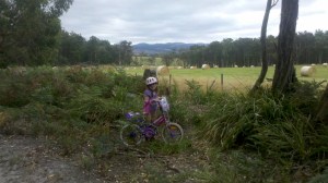 Before Bed Bike Safari