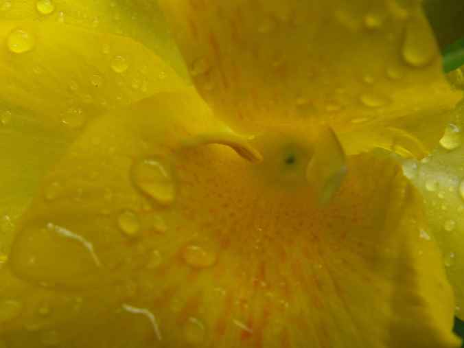 What a difference 12 hours makes