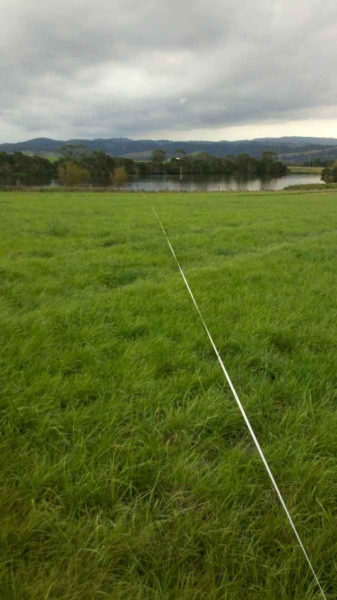The rains have come and the farmer and her cows are ecstatic!