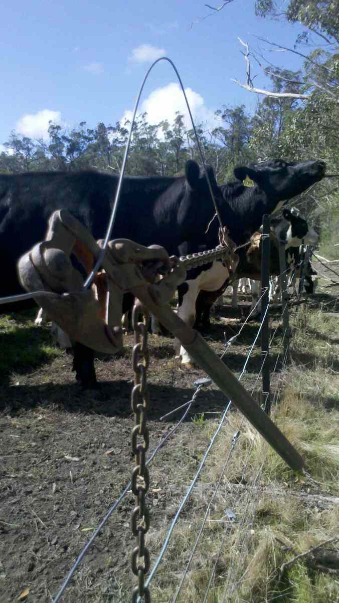 Just In Time (JIT) fencing