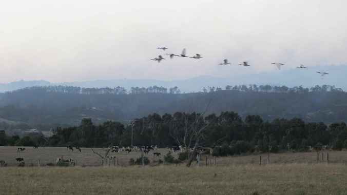 The view from the house after the fire