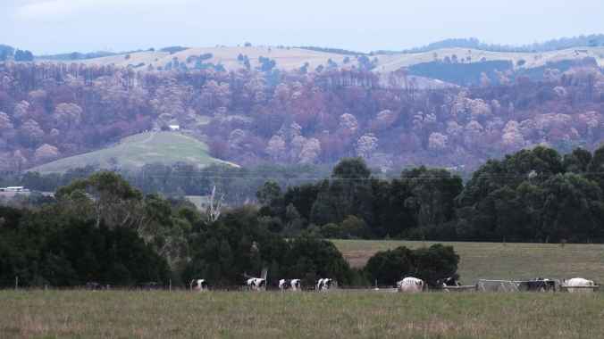 One month and 30mm later