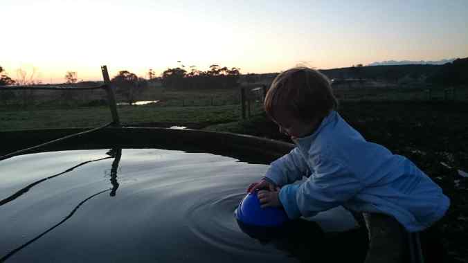 "Trough activated, Captain!"