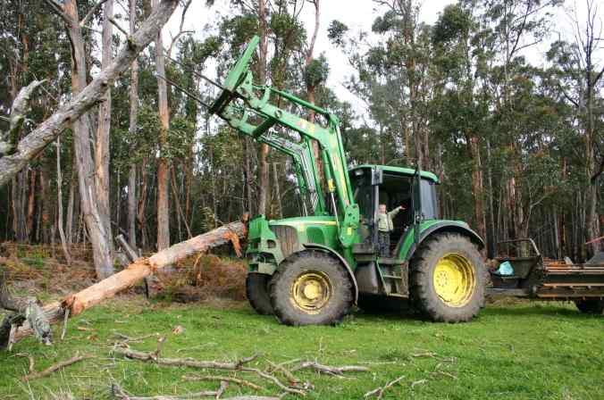 Alex aboard the lazy milk maid's chainsaw