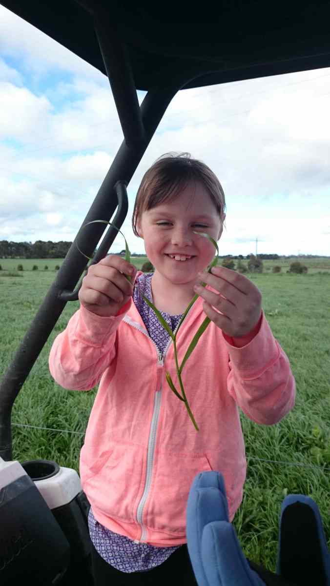 "See? Three leaves!"