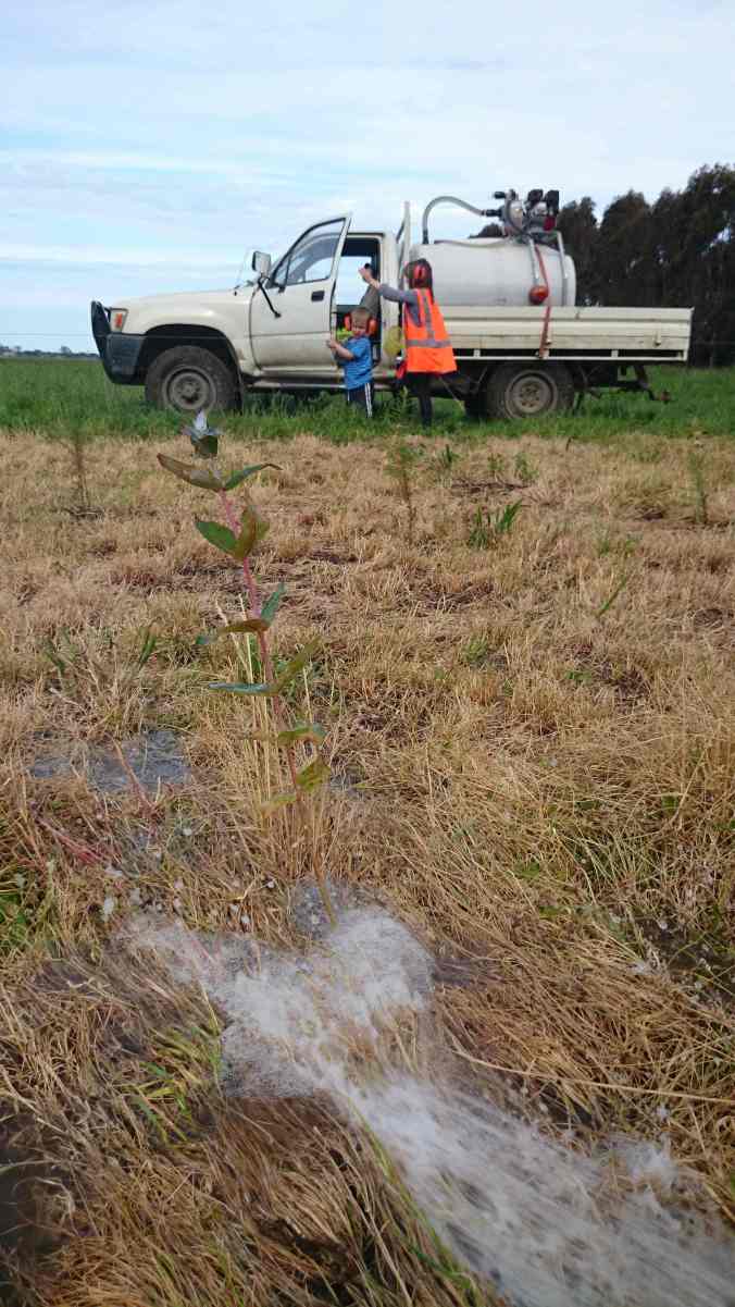 Giving the trees a helping hand when it got dry was noisy work