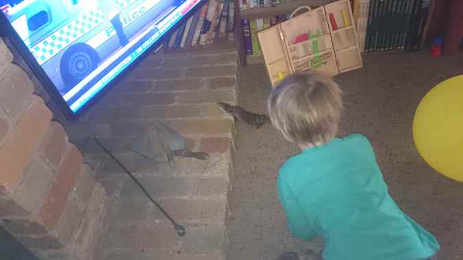 Bluey obviously likes to be well informed