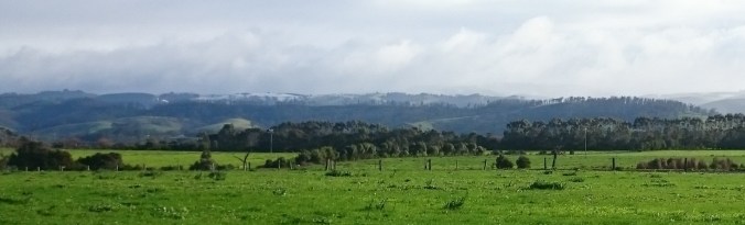 SnowyHills
